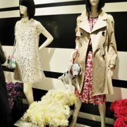 【ケイトスペード】2016春夏 新作 シューズ