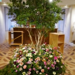 【ジュエルチェンジズ】春夏アイテムの紹介！