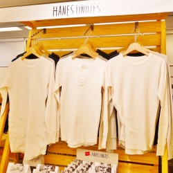 パックTのパイオニアHANES（ ヘインズ）のレディースライン新作