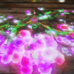 【ロクシタン】世界初 体感型シアター #デジタルプロヴァンス 誕生