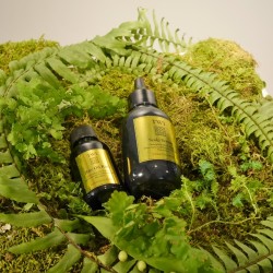 美しい髪を育む頭皮環境にするヘアセラムとヘアオイル【TWI】