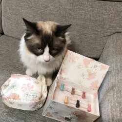 【PAUL & JOE BEAUTE】ニャンダフルな猫コスメと愛猫を遭遇させてみた