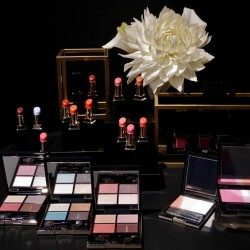 洗練された大人のツヤをつくる【SUQQU/スック】2017AWコレクション速報！