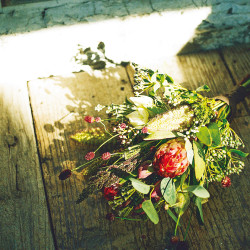 【特集】おしゃれフラワーショップの予算5,000円花束サンプル