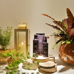 頭皮を活性化！健やかな髪と頭皮のためのエイジングヘアケア【アヴェダ】