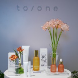 速報！コスメキッチン新ブランド【 to/one】2018デビュー！