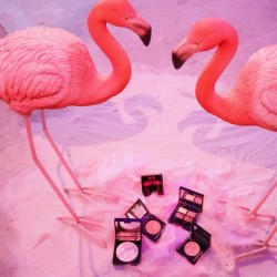 フィルムの技術で写真映え！メイクアップシリーズ【アスタリフトフラロッソ】誕生