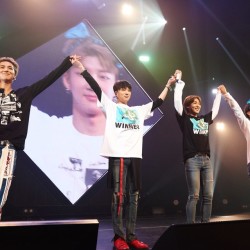 【LIVEレポ】 盛り上がるだけじゃない！ 「心が温まって幸せになる」と話題の WINNERのLIVEに行ってきました！