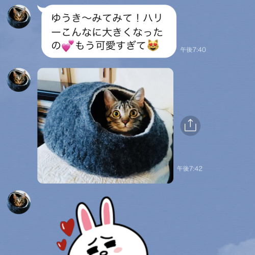 「知らんわ！」彼が困った彼女からの写真付きLINE3つ