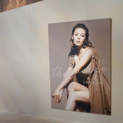 注目は10色セットのアイシャドウ！【ルナソル】2019春コレクション