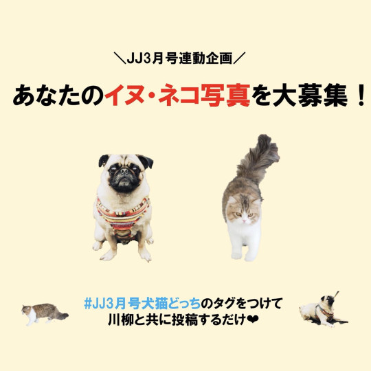 ＼JJ3月号連動企画／あなたのイヌ・ネコ写真を大募集！