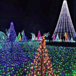 行かなきゃ損！日帰りで行けるクリスマス絶景3東京編