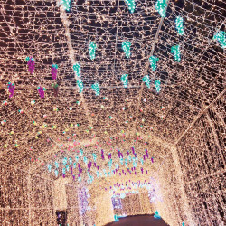 行かなきゃ損！日帰りで行けるクリスマス絶景3名古屋編