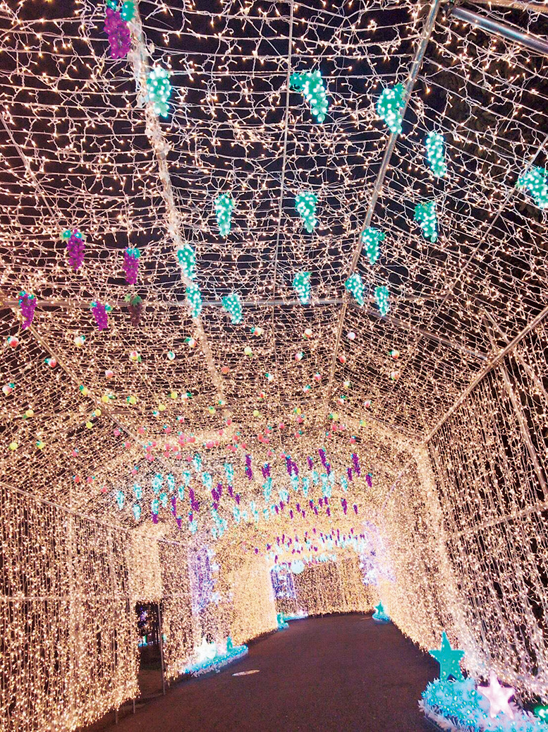 行かなきゃ損！日帰りで行けるクリスマス絶景3名古屋編