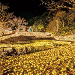 行かなきゃ損！日帰りで行けるクリスマス絶景3関西編