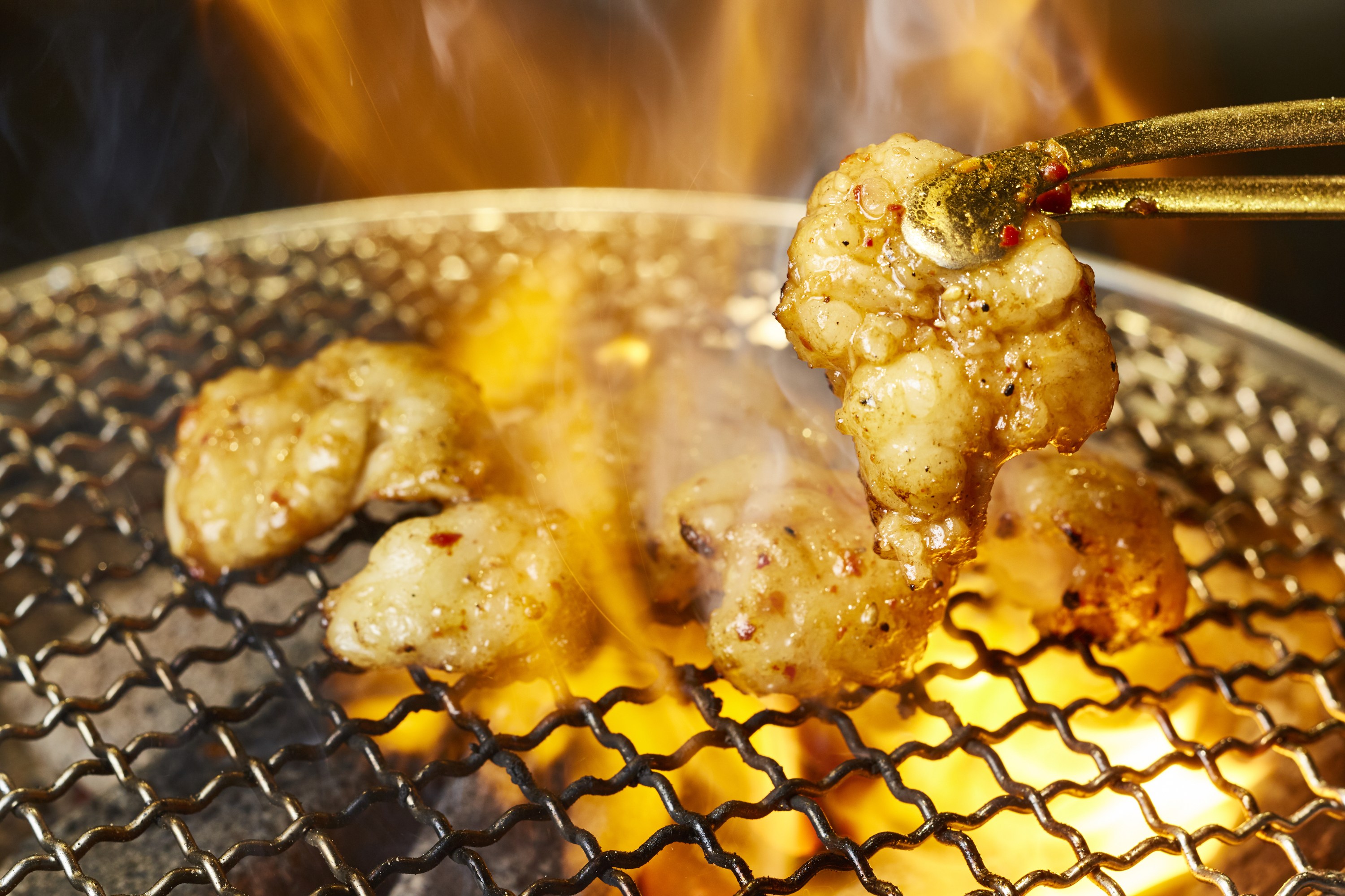 GWデートにぴったり！肉フェスTOKYO2019がお台場にて開催！